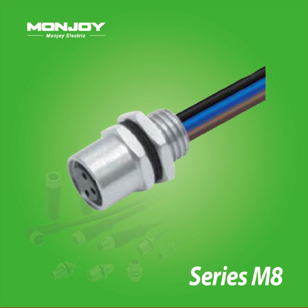 M8*1.0，孔，帶連接線，板后，底座（L=0.2m）