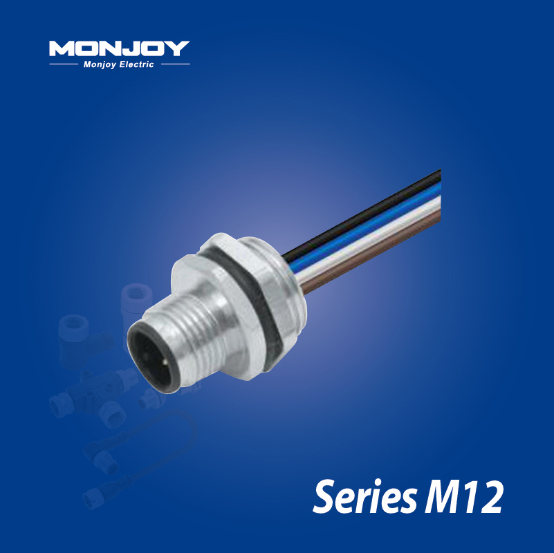 M12*1.0，D標準，針，帶連接線， 板后，底座（L=0.2m）